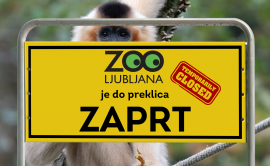 Živalski vrt je zaprt